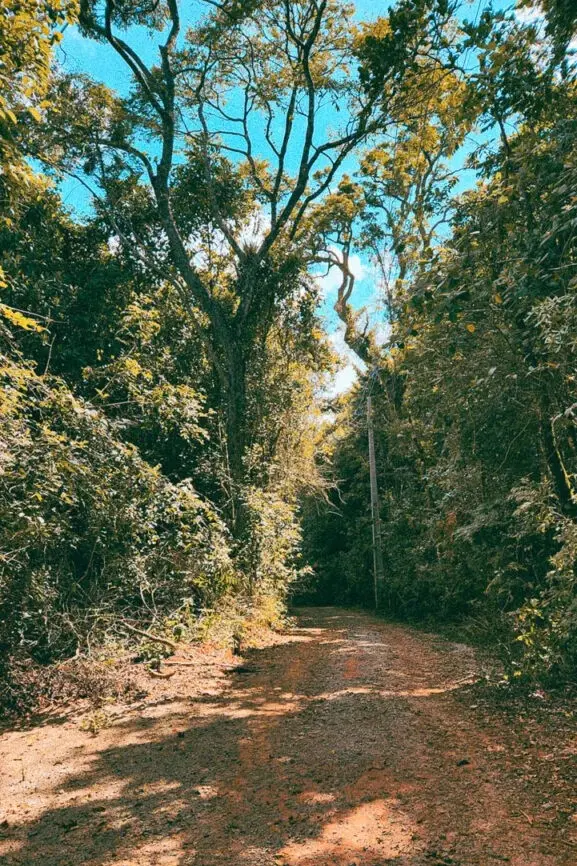 Extrema, Minas Gerais: destino de ecoturismo e aventura 2 Trilha em Extrema Minas Gerais
