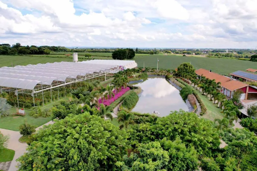 O que fazer em Holambra: roteiro na Cidade das Flores 2 O que fazer em Holambra. Visitar o Bloemen Park
