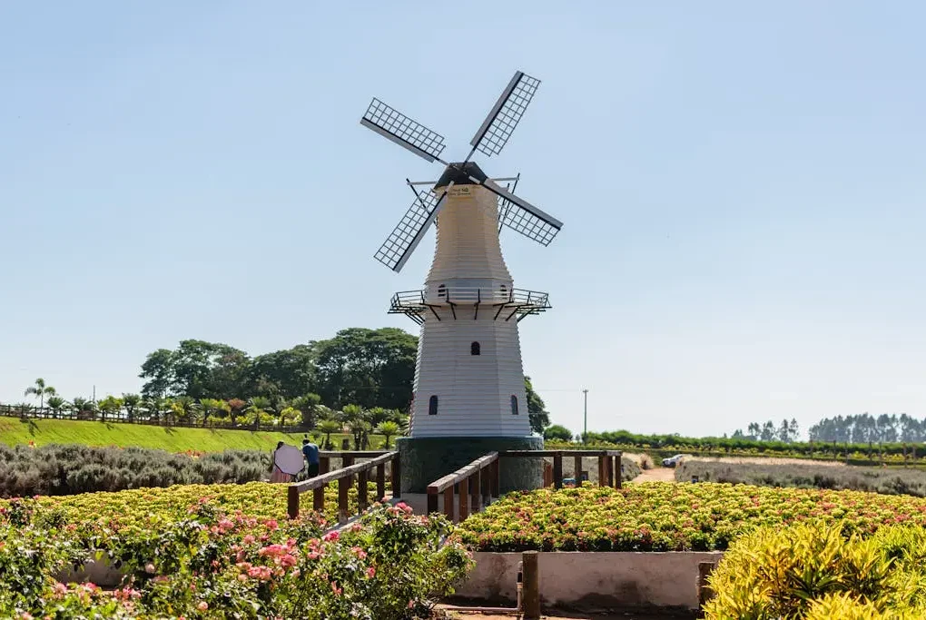 O que fazer em Holambra Cidades das Flores interior de São Paulo. Cultura holandesa