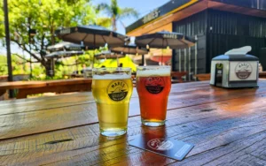 Mares Cervejaria Artesanal Campinas