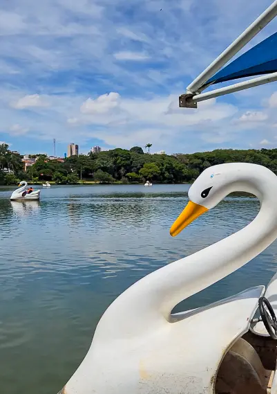 Pedalinho - Lagoa do Taquaral Campinas