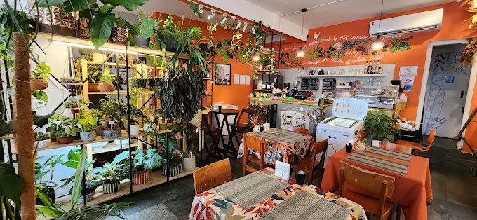 7 Cafés em Campinas para uma pausa no meio do dia 8 divino verde kokedama e café campinas