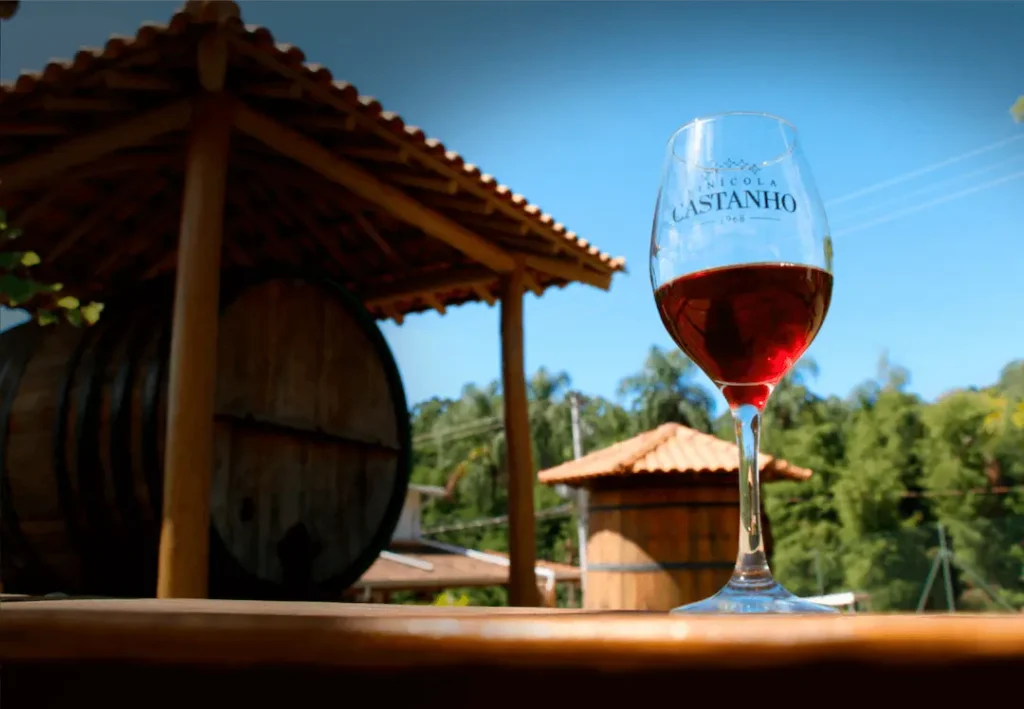 Rota do Vinho Jundiaí: 5 Adegas e roteiros para conhecer 4 Vinicola Castanho em Jundiaí Rota do Vinho