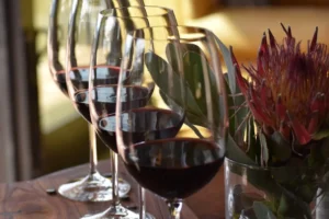 vinícola e adegas Rota do Vinho Jundiaí